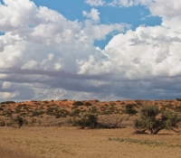 kalahari-landscape-with-clouds